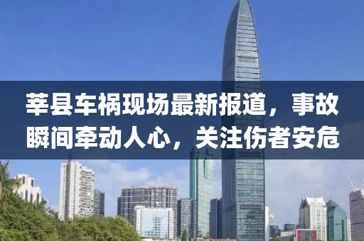 莘县车祸现场最新报道，事故瞬间牵动人心，关注伤者安危