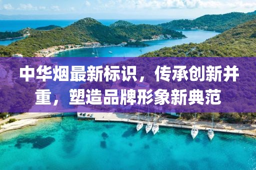 中华烟最新标识，传承创新并重，塑造品牌形象新典范