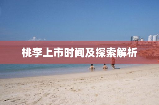 桃李上市时间及探索解析