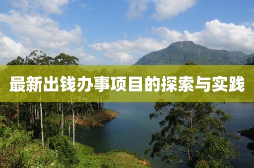 最新出钱办事项目的探索与实践