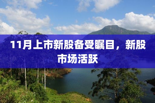 11月上市新股备受瞩目，新股市场活跃