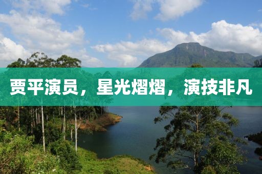 贾平演员，星光熠熠，演技非凡