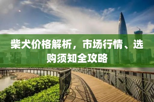 柴犬价格解析，市场行情、选购须知全攻略