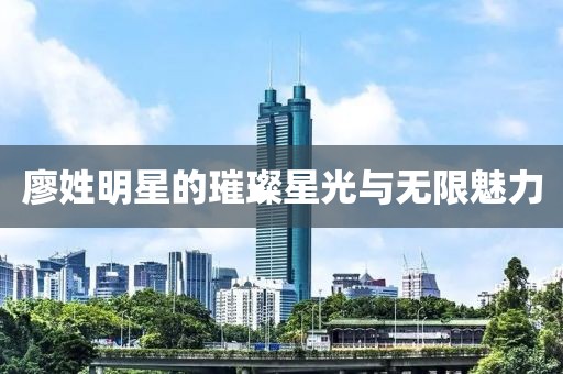 廖姓明星的璀璨星光与无限魅力
