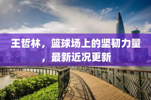 王哲林，篮球场上的坚韧力量，最新近况更新