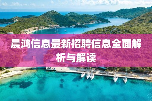 晨鸿信息最新招聘信息全面解析与解读