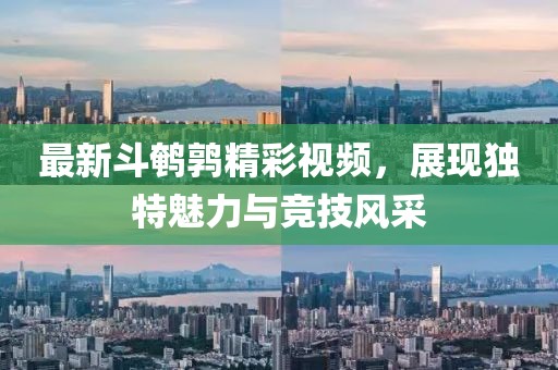 顛峰战犯 第20页