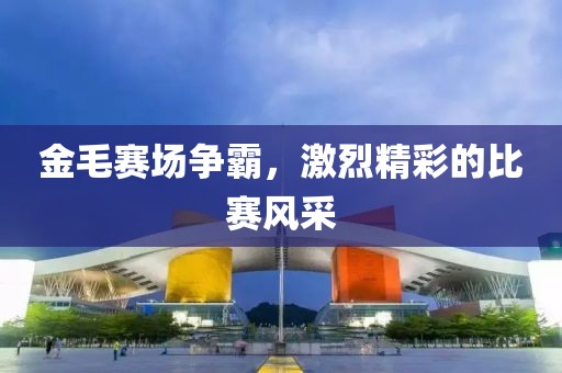 金毛赛场争霸，激烈精彩的比赛风采