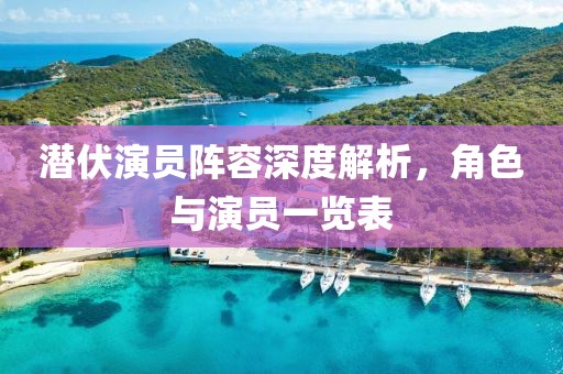 潜伏演员阵容深度解析，角色与演员一览表