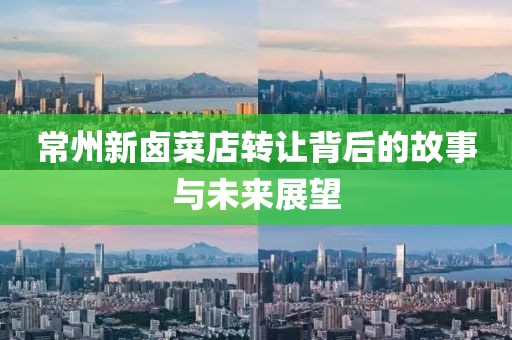 常州新卤菜店转让背后的故事与未来展望