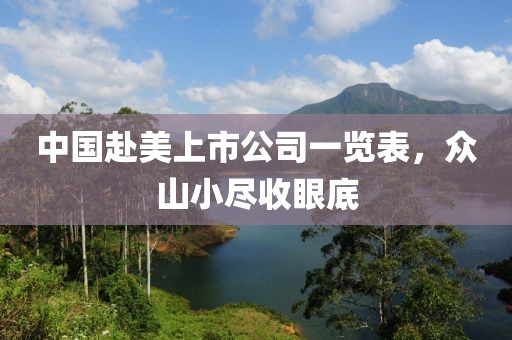 中国赴美上市公司一览表，众山小尽收眼底