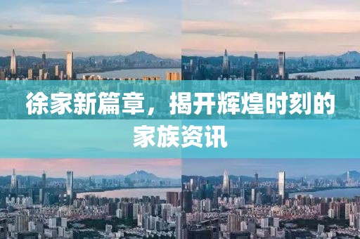 徐家新篇章，揭开辉煌时刻的家族资讯