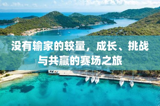 没有输家的较量，成长、挑战与共赢的赛场之旅