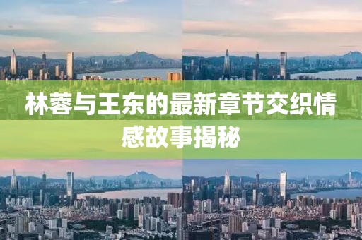 林蓉与王东的最新章节交织情感故事揭秘