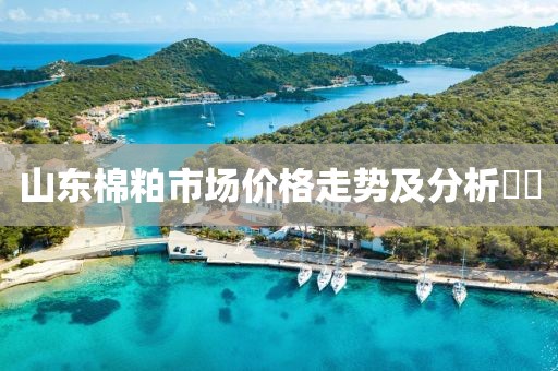 山东棉粕市场价格走势及分析​​