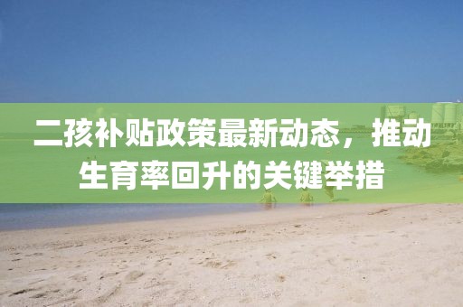 二孩补贴政策最新动态，推动生育率回升的关键举措