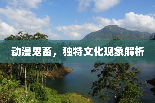 动漫鬼畜，独特文化现象解析