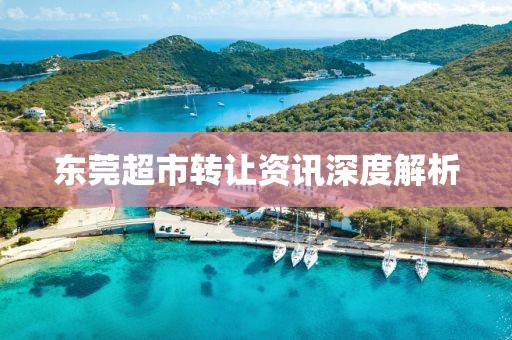 东莞超市转让资讯深度解析