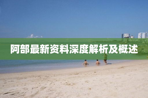 阿部最新资料深度解析及概述