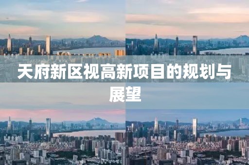 天府新区视高新项目的规划与展望