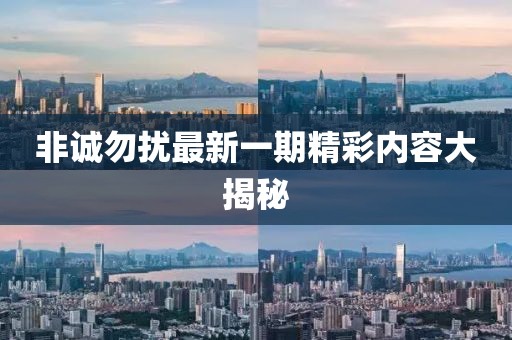 非诚勿扰最新一期精彩内容大揭秘