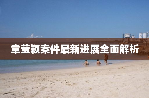 章莹颖案件最新进展全面解析