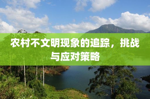 农村不文明现象的追踪，挑战与应对策略