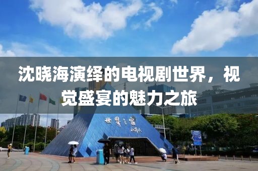沈晓海演绎的电视剧世界，视觉盛宴的魅力之旅