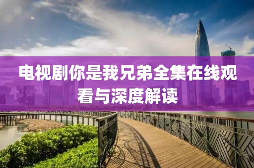 电视剧你是我兄弟全集在线观看与深度解读