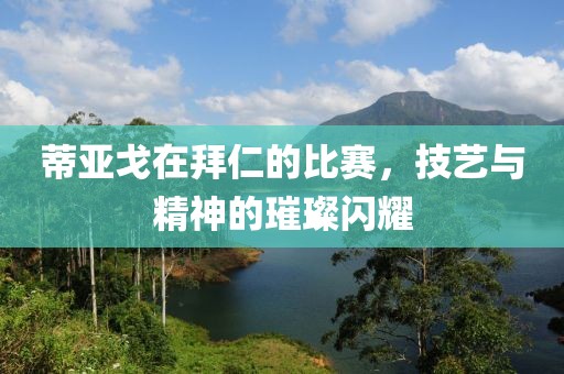 蒂亚戈在拜仁的比赛，技艺与精神的璀璨闪耀