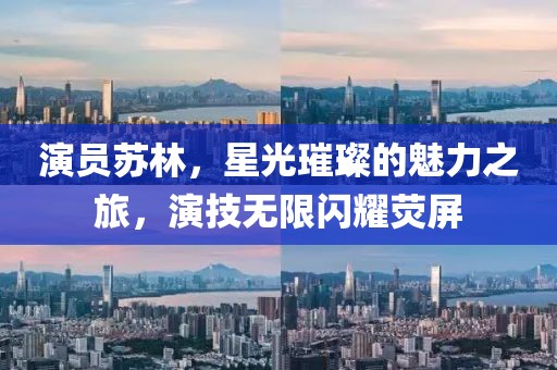 演员苏林，星光璀璨的魅力之旅，演技无限闪耀荧屏