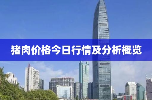 猪肉价格今日行情及分析概览