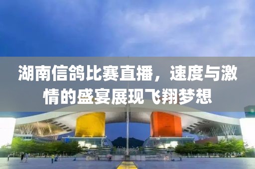 湖南信鸽比赛直播，速度与激情的盛宴展现飞翔梦想