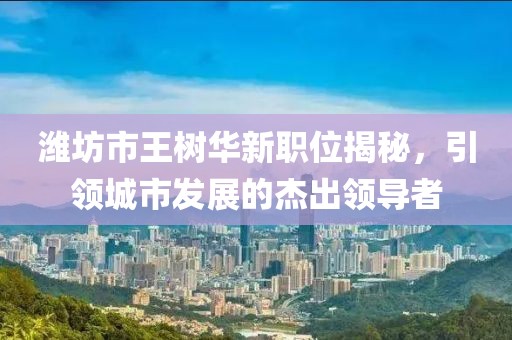 潍坊市王树华新职位揭秘，引领城市发展的杰出领导者
