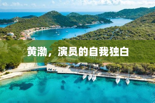 黄渤，演员的自我独白