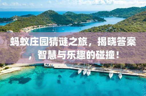 蚂蚁庄园猜谜之旅，揭晓答案，智慧与乐趣的碰撞！