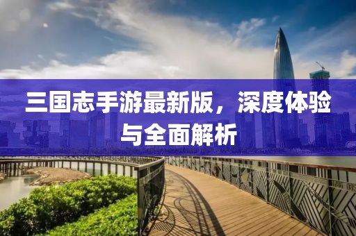 三国志手游最新版，深度体验与全面解析