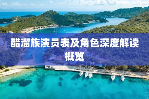 醋溜族演员表及角色深度解读概览