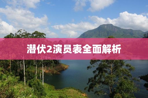 潜伏2演员表全面解析