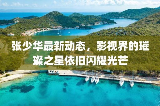 张少华最新动态，影视界的璀璨之星依旧闪耀光芒