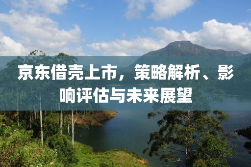 京东借壳上市，策略解析、影响评估与未来展望
