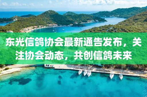 东光信鸽协会最新通告发布，关注协会动态，共创信鸽未来