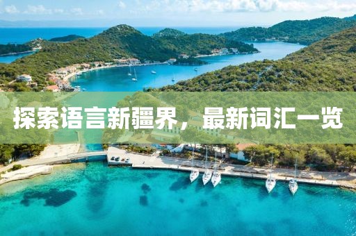 探索语言新疆界，最新词汇一览