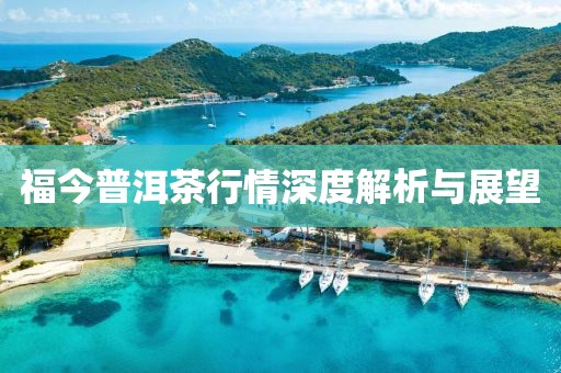 福今普洱茶行情深度解析与展望