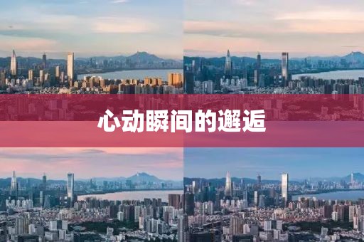 心动瞬间的邂逅