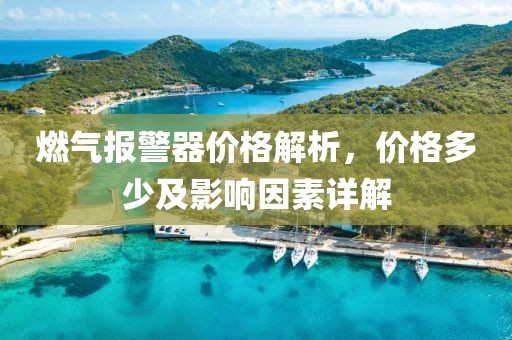 燃气报警器价格解析，价格多少及影响因素详解