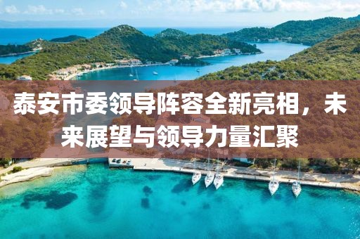 旧念何挽 第15页