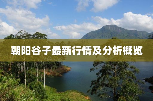 朝阳谷子最新行情及分析概览