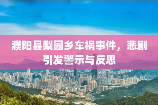 2025年2月 第331页