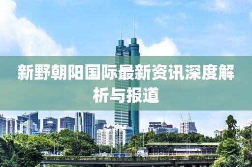 新野朝阳国际最新资讯深度解析与报道
